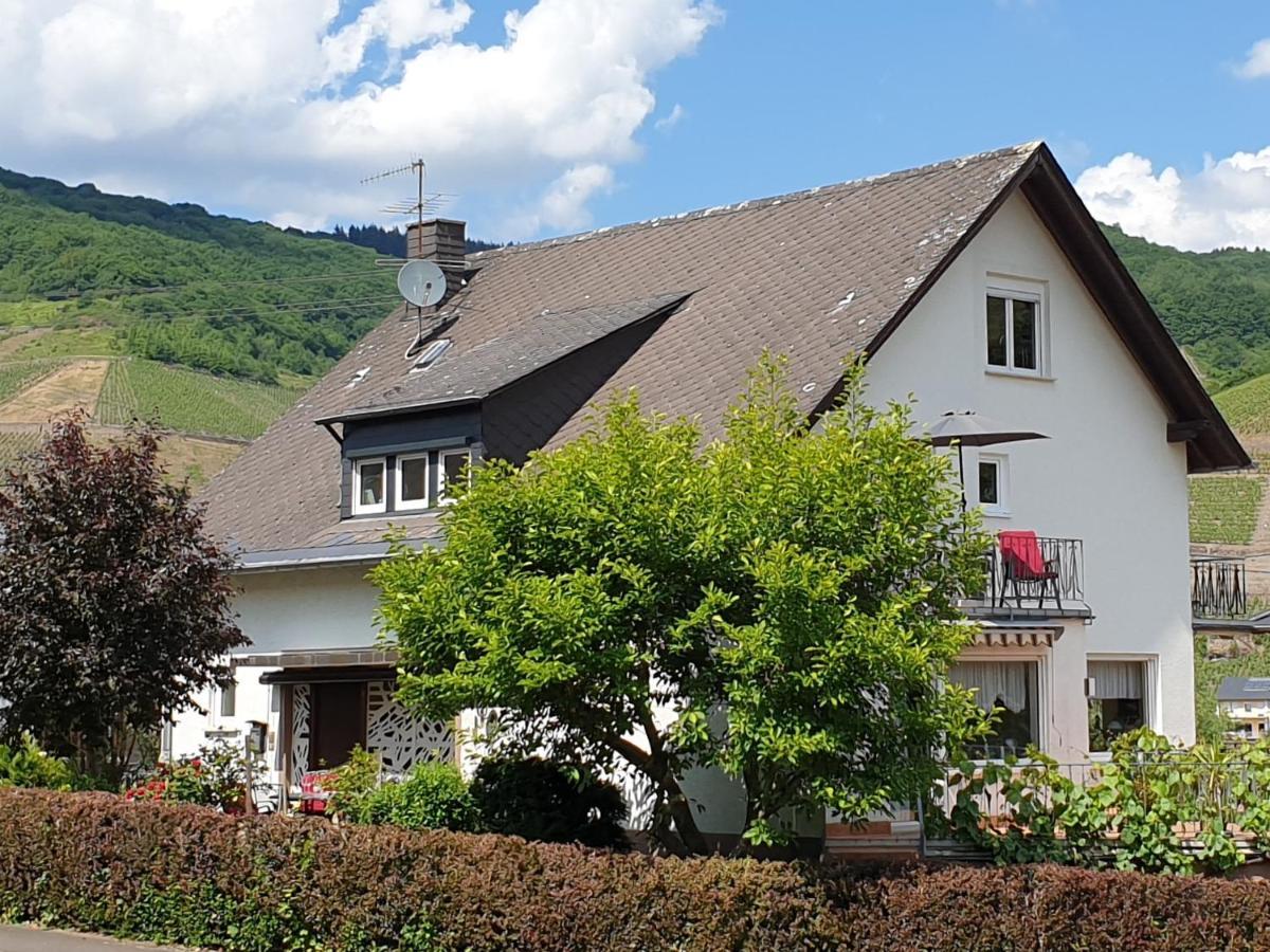 Schorn³ Appartements Zell an der Mosel Esterno foto